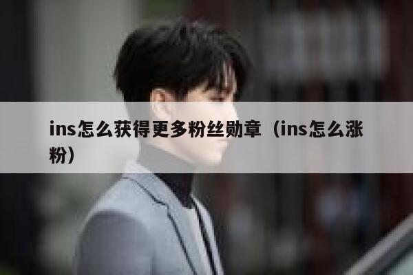 ins怎么获得更多粉丝勋章（ins怎么涨粉） 第1张