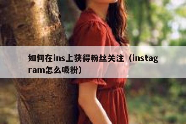 如何在ins上获得粉丝关注（instagram怎么吸粉） 第1张
