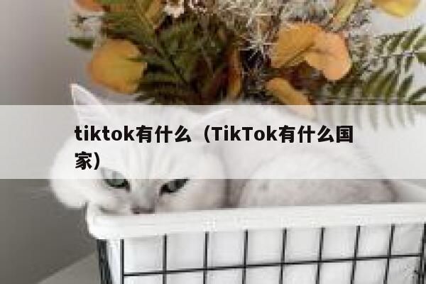 tiktok有什么（TikTok有什么国家） 第1张