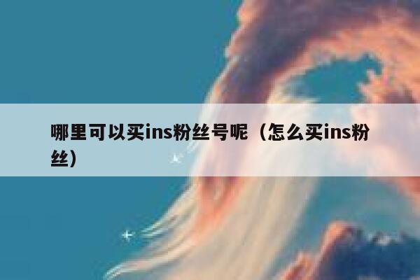 哪里可以买ins粉丝号呢（怎么买ins粉丝） 第1张