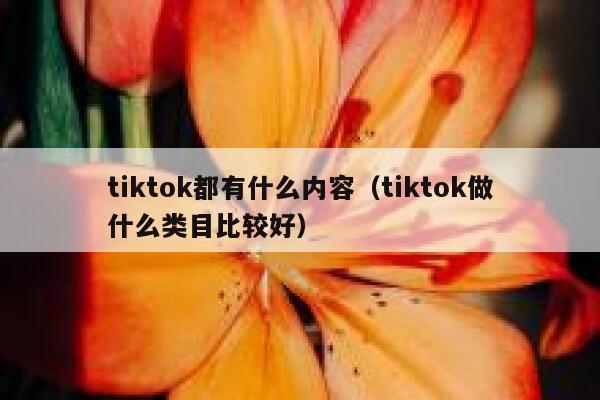 tiktok都有什么内容（tiktok做什么类目比较好） 第1张