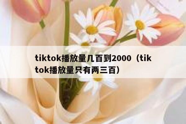 tiktok播放量几百到2000（tiktok播放量只有两三百） 第1张
