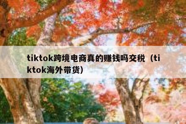 tiktok跨境电商真的赚钱吗交税（tiktok海外带货） 第1张