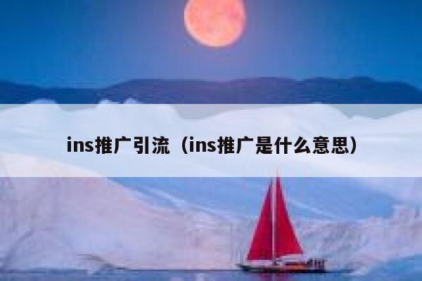 ins推广引流（ins推广是什么意思） 第1张
