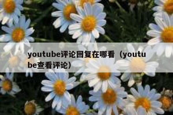youtube评论回复在哪看（youtube查看评论） 第1张