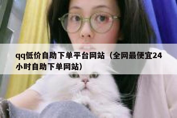 qq低价自助下单平台网站（全网最便宜24小时自助下单网站） 第1张