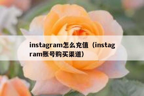 instagram怎么充值（instagram账号购买渠道） 第1张