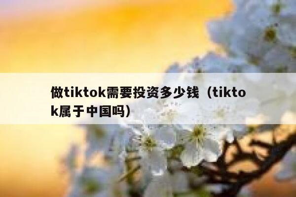 做tiktok需要投资多少钱（tiktok属于中国吗） 第1张