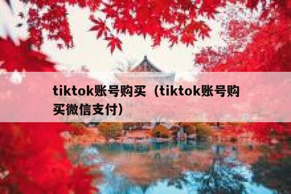tiktok账号购买（tiktok账号购买微信支付） 第1张