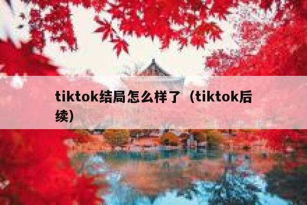 tiktok结局怎么样了（tiktok后续） 第1张