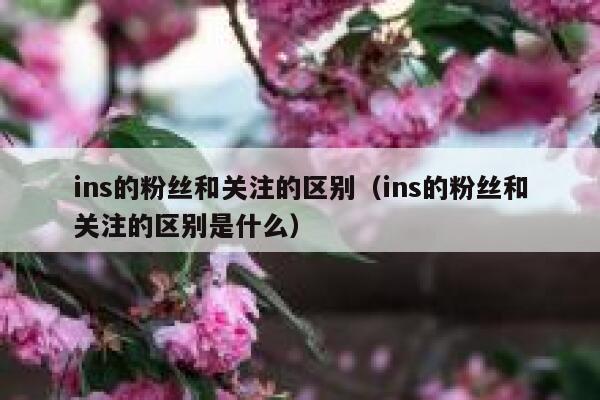 ins的粉丝和关注的区别（ins的粉丝和关注的区别是什么） 第1张