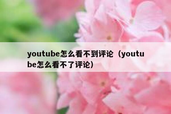 youtube怎么看不到评论（youtube怎么看不了评论） 第1张