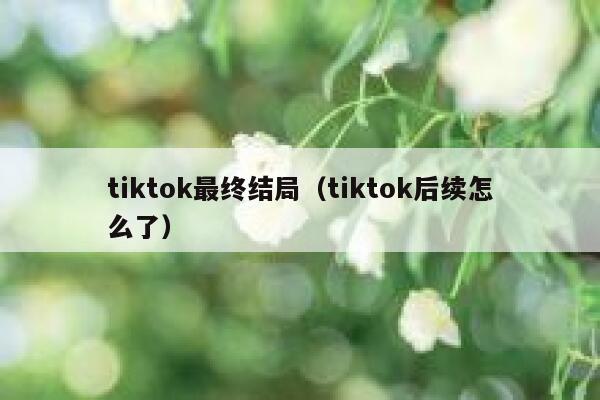 tiktok最终结局（tiktok后续怎么了） 第1张
