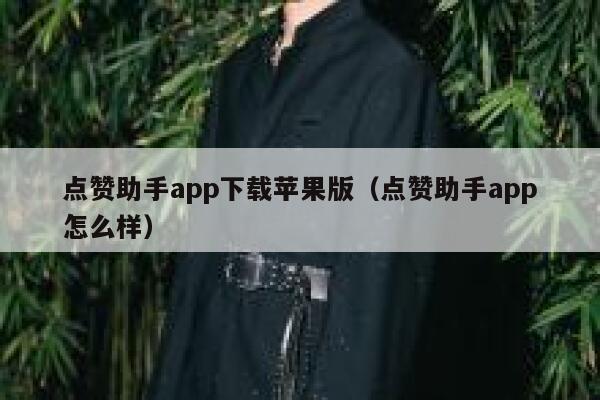点赞助手app下载苹果版（点赞助手app怎么样） 第1张