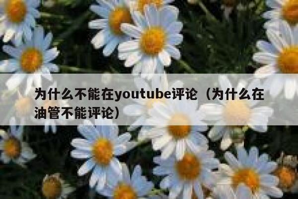 为什么不能在youtube评论（为什么在油管不能评论） 第1张
