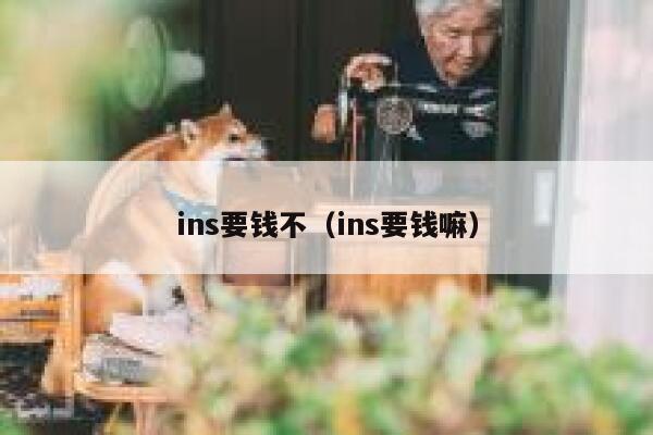 ins要钱不（ins要钱嘛） 第1张
