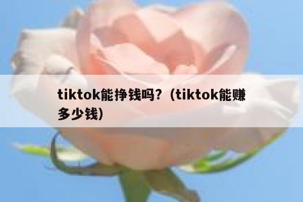 tiktok能挣钱吗?（tiktok能赚多少钱） 第1张