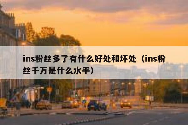 ins粉丝多了有什么好处和坏处（ins粉丝千万是什么水平） 第1张