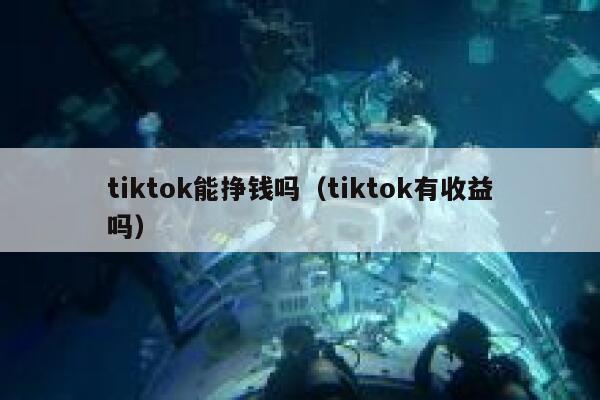 tiktok能挣钱吗（tiktok有收益吗） 第1张
