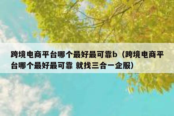 跨境电商平台哪个最好最可靠b（跨境电商平台哪个最好最可靠 就找三合一企服） 第1张