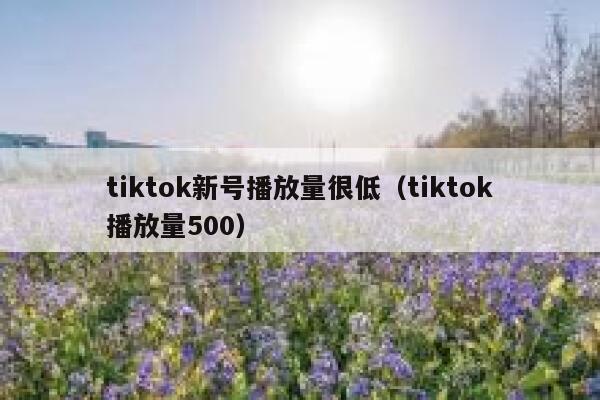 tiktok新号播放量很低（tiktok播放量500） 第1张