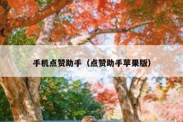 手机点赞助手（点赞助手苹果版） 第1张