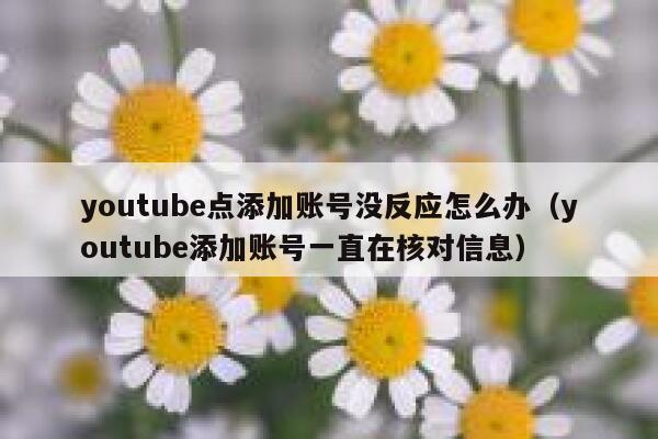 youtube点添加账号没反应怎么办（youtube添加账号一直在核对信息） 第1张