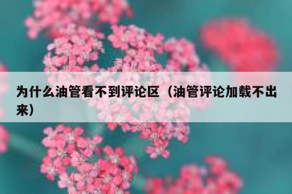 为什么油管看不到评论区（油管评论加载不出来） 第1张