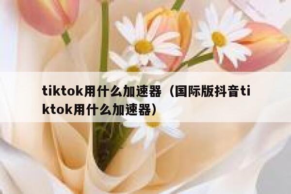 tiktok用什么加速器（国际版抖音tiktok用什么加速器） 第1张