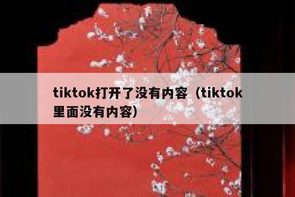 tiktok打开了没有内容（tiktok里面没有内容） 第1张