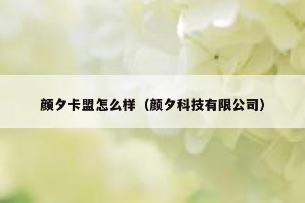 颜夕卡盟怎么样（颜夕科技有限公司） 第1张