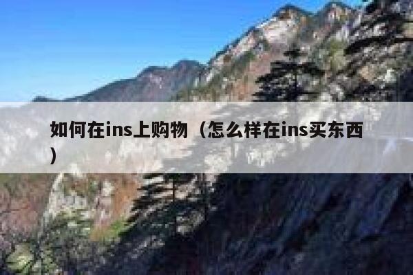 如何在ins上购物（怎么样在ins买东西） 第1张