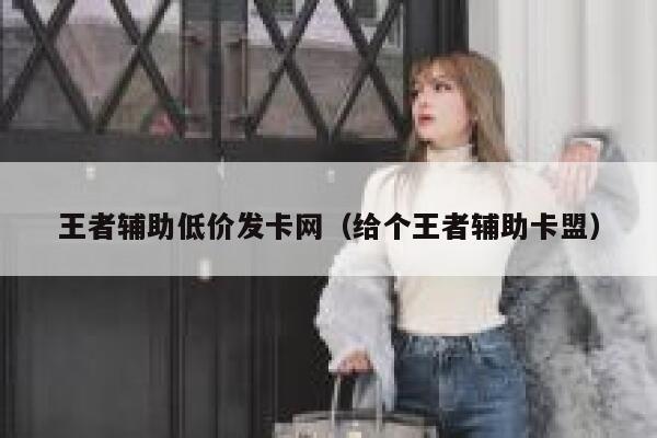 王者辅助低价发卡网（给个王者辅助卡盟） 第1张