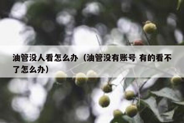 油管没人看怎么办（油管没有账号 有的看不了怎么办） 第1张