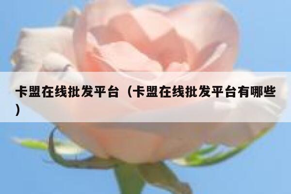 卡盟在线批发平台（卡盟在线批发平台有哪些） 第1张