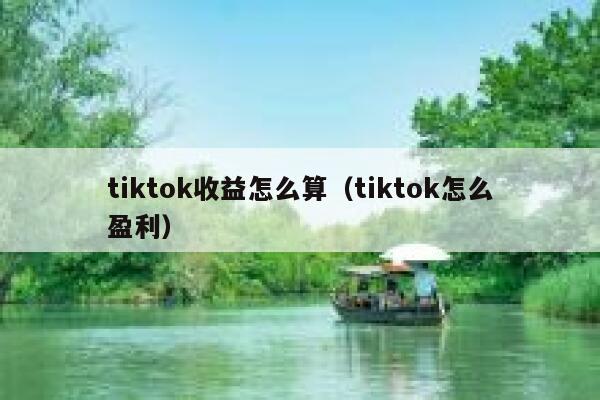 tiktok收益怎么算（tiktok怎么盈利） 第1张