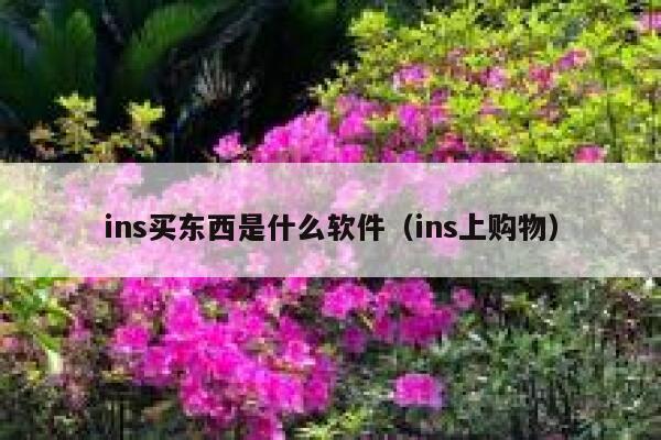 ins买东西是什么软件（ins上购物） 第1张