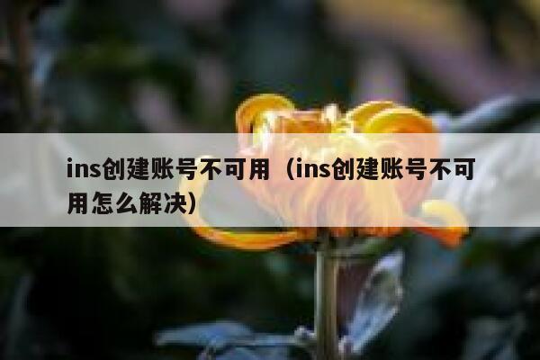 ins创建账号不可用（ins创建账号不可用怎么解决） 第1张