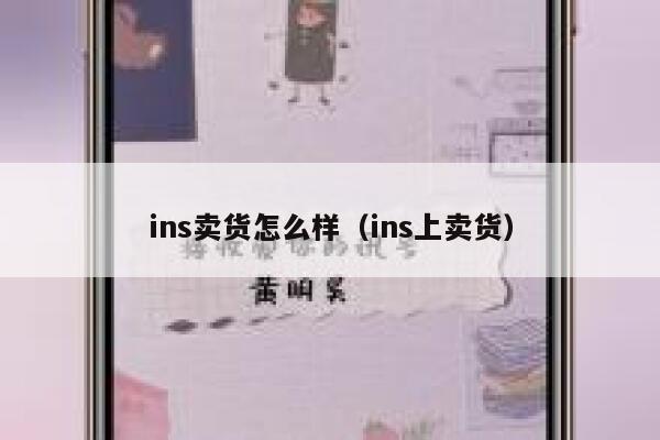 ins卖货怎么样（ins上卖货） 第1张