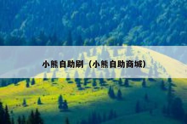 小熊自助刷（小熊自助商城） 第1张