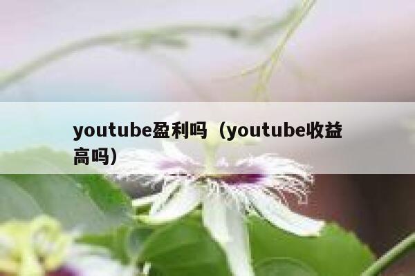 youtube盈利吗（youtube收益高吗） 第1张