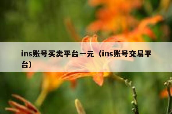 ins账号买卖平台一元（ins账号交易平台） 第1张