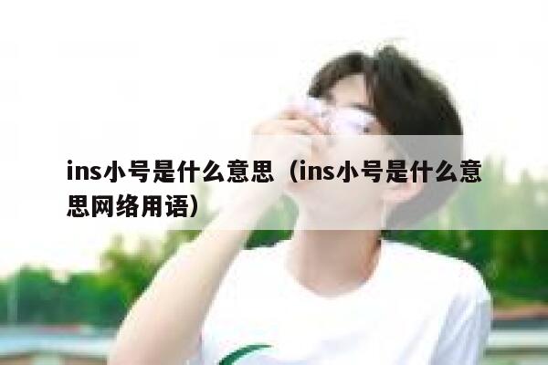 ins小号是什么意思（ins小号是什么意思网络用语） 第1张