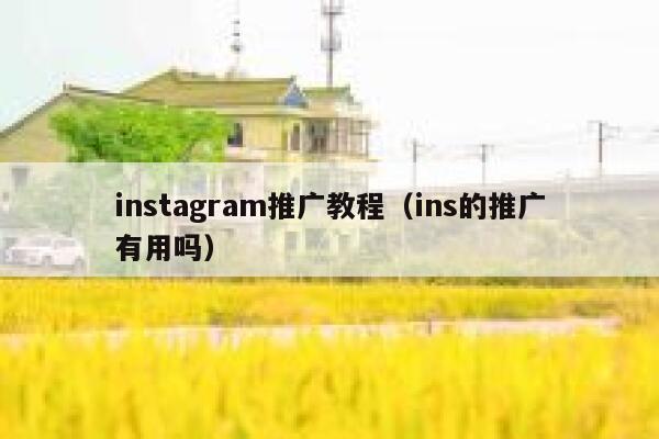 instagram推广教程（ins的推广有用吗） 第1张