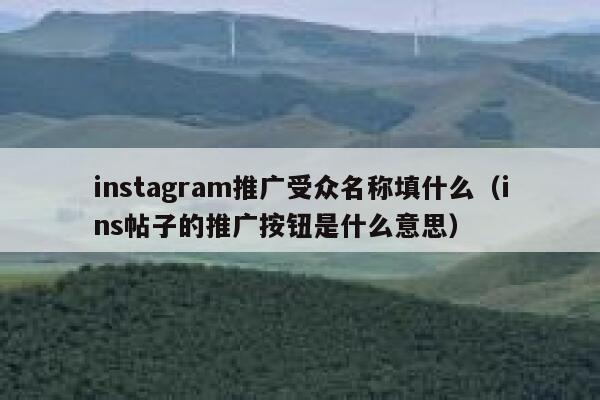 instagram推广受众名称填什么（ins帖子的推广按钮是什么意思） 第1张
