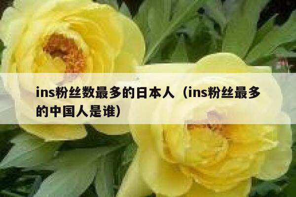 ins粉丝数最多的日本人（ins粉丝最多的中国人是谁） 第1张