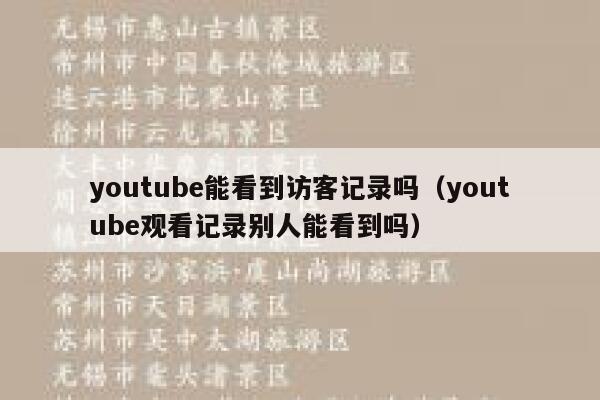 youtube能看到访客记录吗（youtube观看记录别人能看到吗） 第1张