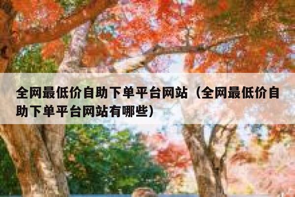 全网最低价自助下单平台网站（全网最低价自助下单平台网站有哪些） 第1张