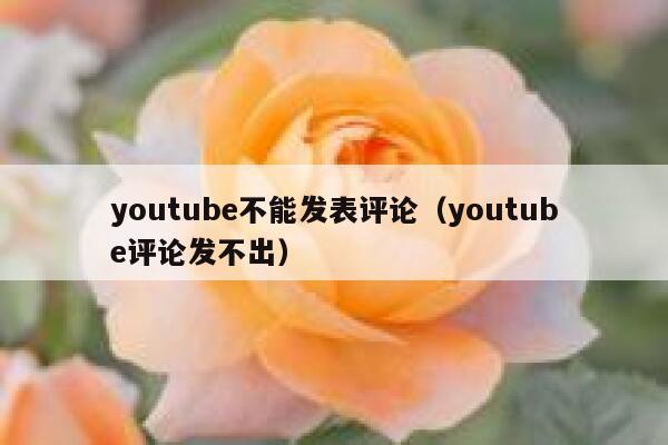 youtube不能发表评论（youtube评论发不出） 第1张