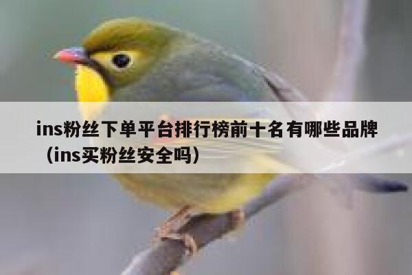ins粉丝下单平台排行榜前十名有哪些品牌（ins买粉丝安全吗） 第1张
